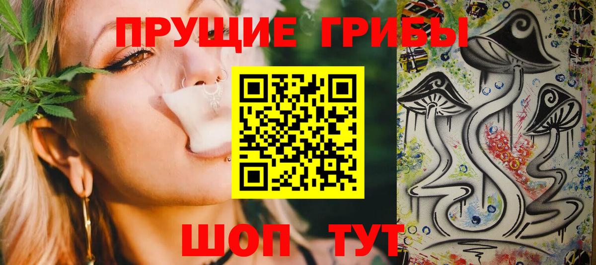 Черкесск  Галлюциногенные грибы MAGIC MUSHROOMS  Вход с VPN 
